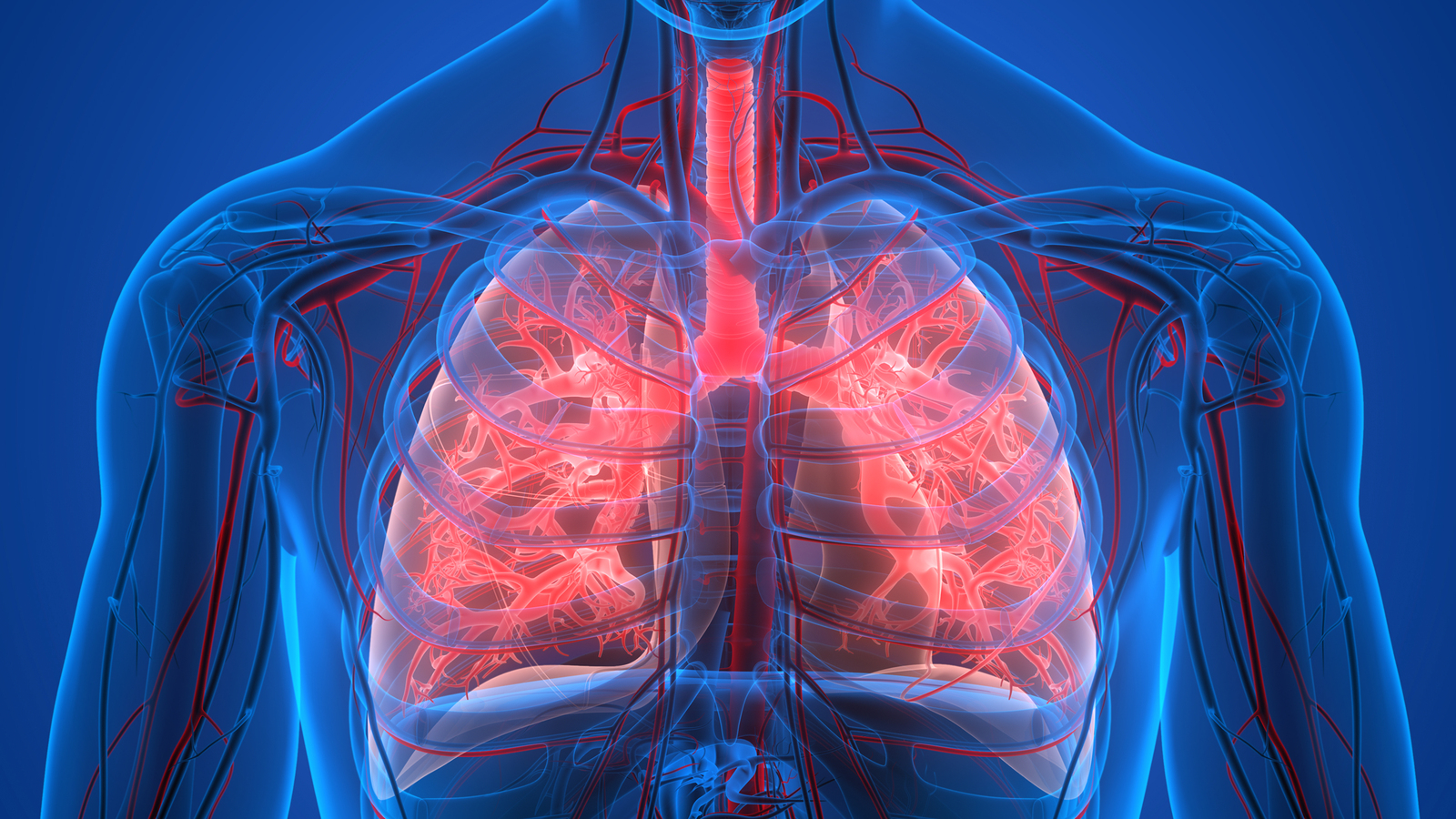 cteph-een-bijzondere-vorm-van-ph-mijn-gezondheidsgids